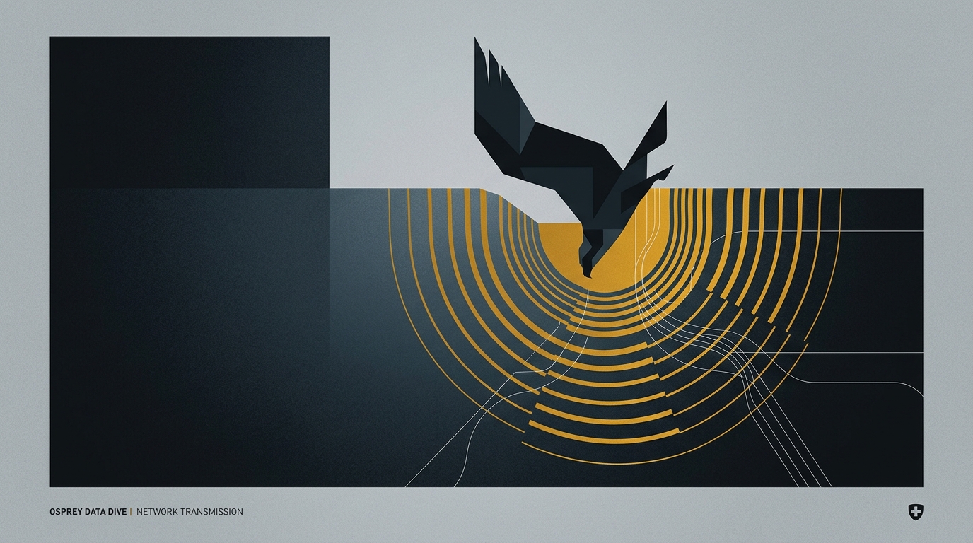 Osprey Data Dive Visual Art